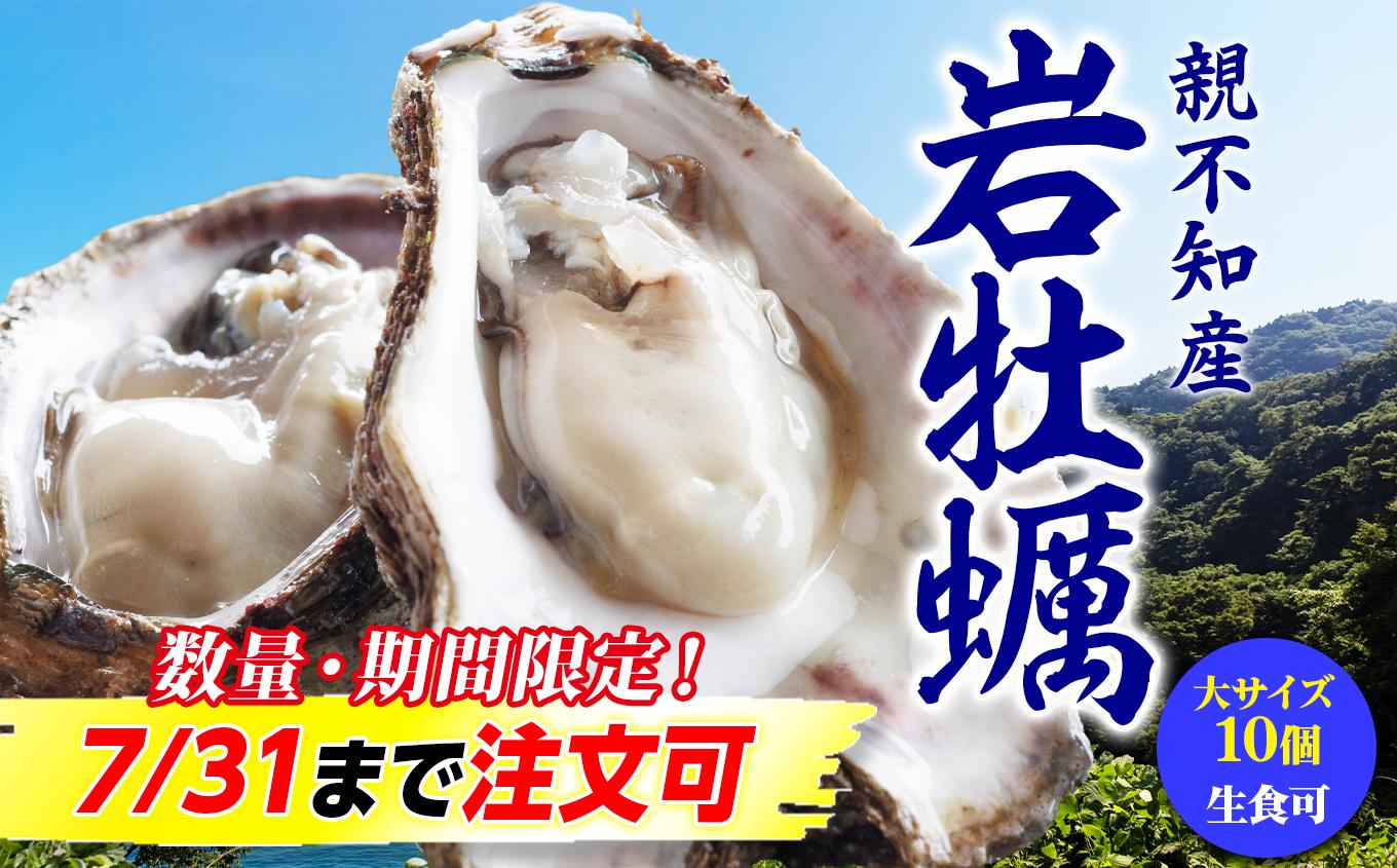 
                  【先行予約】親不知産 天然岩牡蠣 (生食用) 大サイズ 10個前後 2026年7月中旬以降順次発送 鮮度抜群! 水揚げ直後に発送【日本海 かき カキ 岩ガキ 岩かき 生牡蠣 期間限定 毎年人気の返礼品 ふるさと納税 夏季限定 産地直送 冷蔵 殻付き 大粒 濃厚 クリーミー】
                