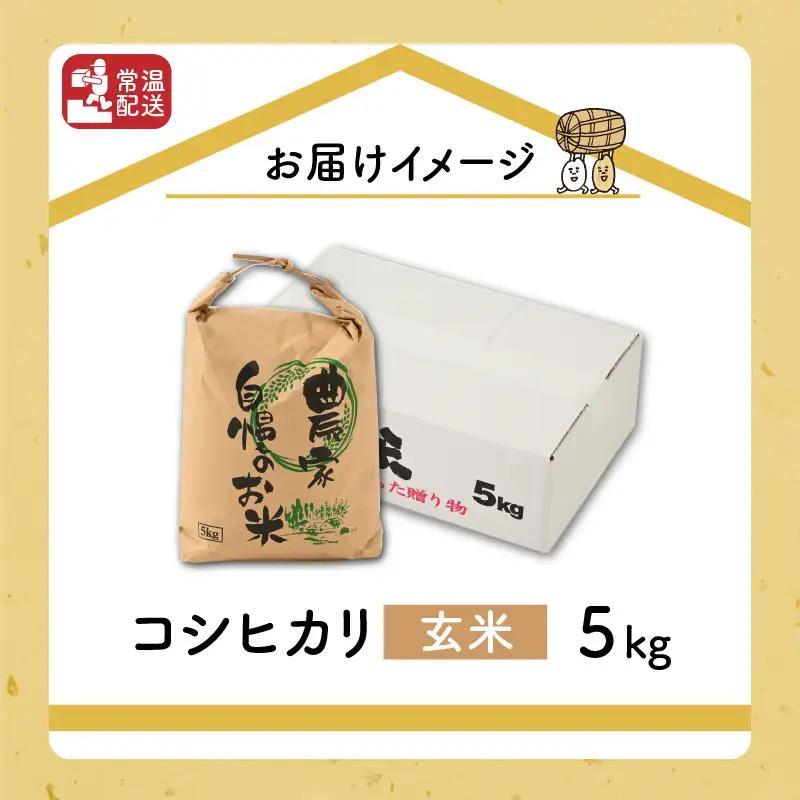 米 令和8年産 コシヒカリ玄米 5kg [A-040029]