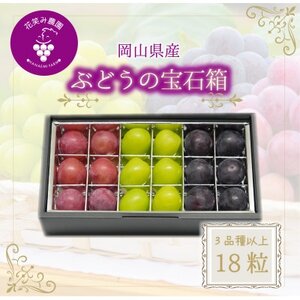 【2026年先行受付】岡山　花笑み農園『ブドウの宝石箱』3種以上(18粒入り)　3M-宝18【配送不可地域：離島】【1696016】