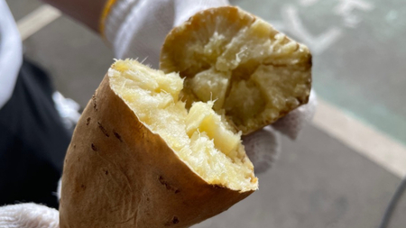しろほろり 約5kg (茨城県共通返礼品／行方市) 2025年11月から発送開始 渋谷農園 さつまいも いも 芋 焼き芋 [DT011sa]