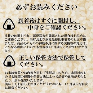 【３カ月定期】令和８年産　ゆめぴりか10㎏（5㎏×2個）計30㎏ （TT06）