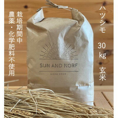 【ふるさと納税】【令和7年産】初霜(源種)　玄米30kg　(栽培期間中農薬・化学肥料不使用)【1721463】
