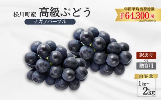 
                  ぶどう ナガノパープル 贈答用 or 家庭用 ／ 2026年8月中旬頃～10月頃 配送予定// 贈答 長野県 南信州 ぶどう 葡萄 ナガノ パープル 種なし 皮ごと 果物 フルーツ TK34 TK07 TK18
                