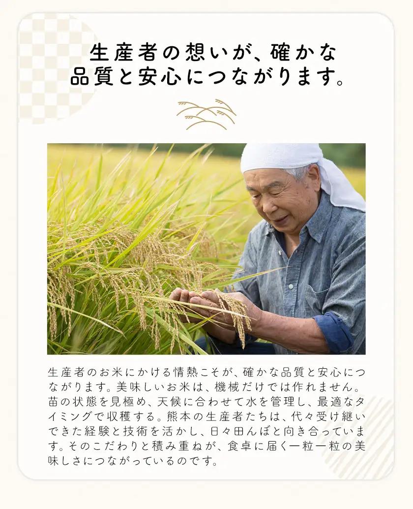 白米 せきゆらり 10kg 熊本県産 国産 白米