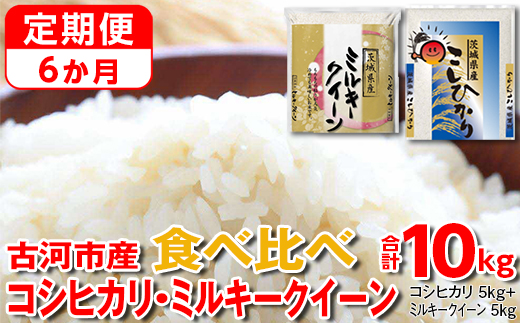 【定期便 6か月】令和7年産 古河市のお米食べ比べ コシヒカリ・ミルキークイーン 5kg×2種類｜米 コメ こめ ごはん ご飯 ゴハン 白飯 単一米 国産 コシヒカリ こしひかり ミルキークイーン 食べ比べ 5kg×2 10kg 定期便 6ヶ月 6回 茨城県_DP53