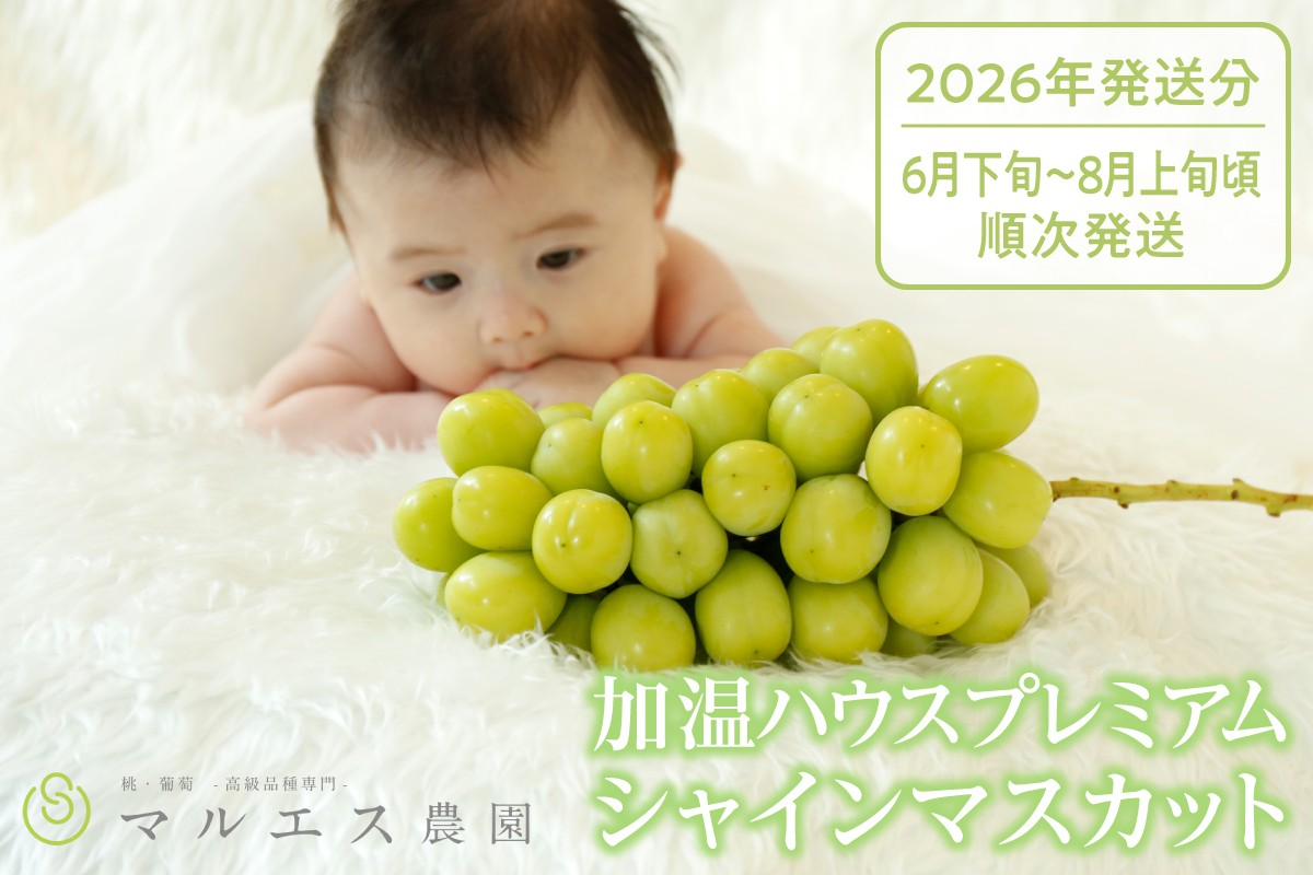 
                  クール配送 加温ハウス「マルエス農園」プレミアムシャインマスカット 合計750g以上【2026年発送】（MS）D-116 【シャインマスカット 葡萄 ぶどう ブドウ 令和8年発送 期間限定 山梨県産 甲州市 フルーツ 果物 クール便】
                