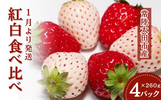 【ふるさと納税】いちご 紅白食べ比べ いちご 4パック × 1箱｜ 白いちご 珍しい 苺 イチゴ 食べ比べ 希少 香り 大粒 いちご 厳選 フルーツ 苺 イチゴ 朝採れ 糖度 酸味 バランス 濃厚 初物 甘い 果肉 品質 健康 果物 デザート 贈り物 先取り 茨城県 常陸太田