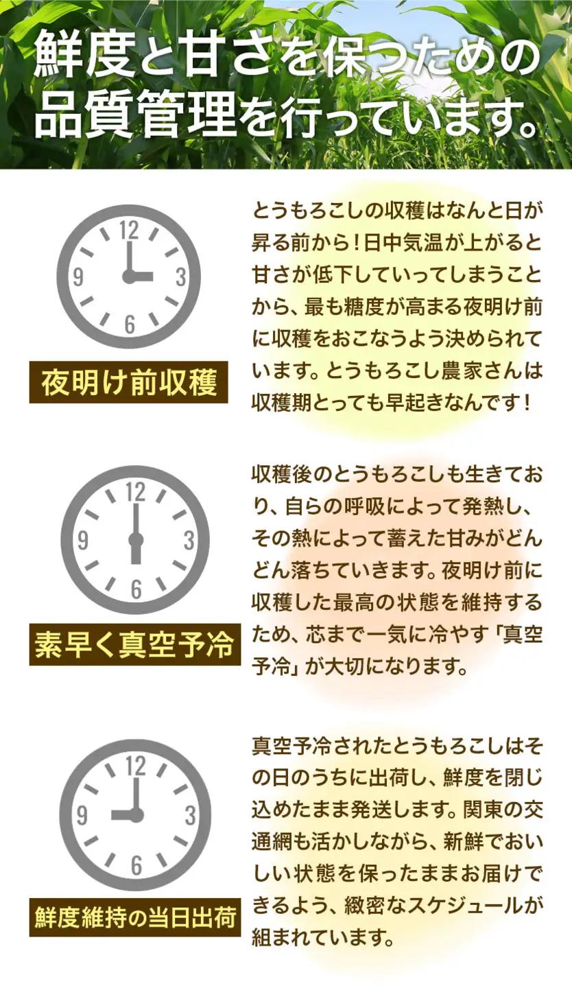 トウモロコシ 味来 夏祭り 約5kg 13本前後《6月中旬-7月中旬頃出荷予定》【配送不可地域あり】(北海道・沖縄・離島)