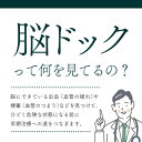 【ふるさと納税】身体の健康診断を受けるなら、脳の状態も知っておいた方がいい!約30分で終わる日帰り脳ドック!【1450274】