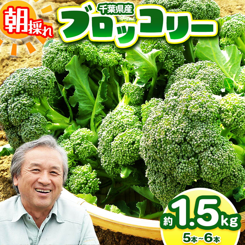 【ふるさと納税】【農薬（化学肥料）：栽培期間中不使用】 ブロッコリー 約1.5kg （5～6本） | 鈴木アル・ファーム ブロッコリー にがり農法 国産 新鮮 詰め合わせ 産地直送 栄養たっぷり 安心野菜 旬 鈴木アルファーム 新鮮 朝採り イチオシ 千葉 君津 きみつ