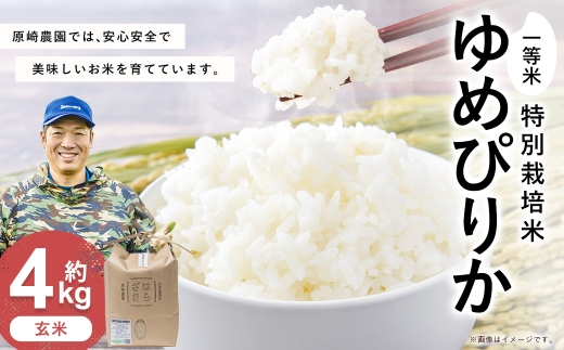 【令和8年産】一等米・特別栽培米 4kg【ゆめぴりか玄米】2kg×2（農薬7割減）北海道 鷹栖町 原崎農園 【2026年10月下旬頃発送開始予定】