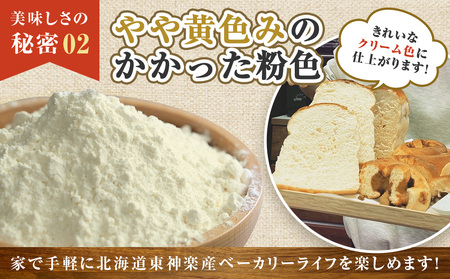 【定期便 3カ月】キタノカオリ 5kg 小麦粉 東神楽産 強力粉