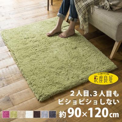 ふるさと納税 海南市 乾度良好 Dナチュレ バスマット 約90×120cm グリーン 吸水速乾 裏面すべり止め加工