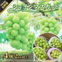 【ふるさと納税】長野県　中野市産　シャインマスカット4房(2.0kg以上)【配送不可地域：離島・北海道・沖縄県】【1331114】