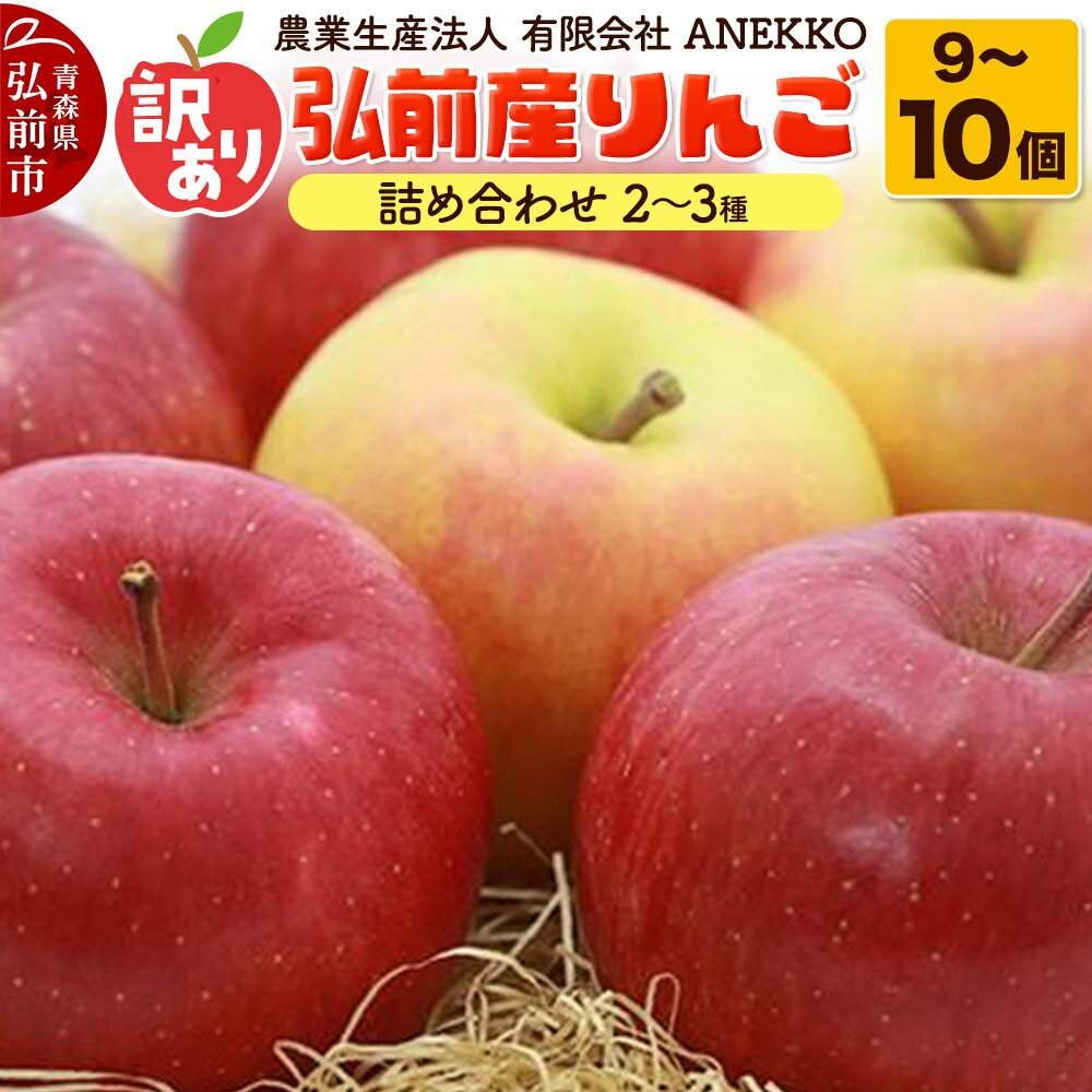 【ふるさと納税】りんご 訳あり 弘前産りんご 詰め合わせ 2〜3種 家庭用 9〜10個