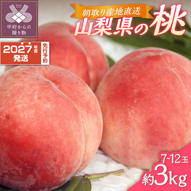 【ふるさと納税】 桃 ピーチ 山梨 県産 甲府 市産 3kg 7〜12個 もぎたて 朝取り 産地直送 冷蔵 2027年6月下旬～8月下旬頃 期間限定 数量限定 k346-002