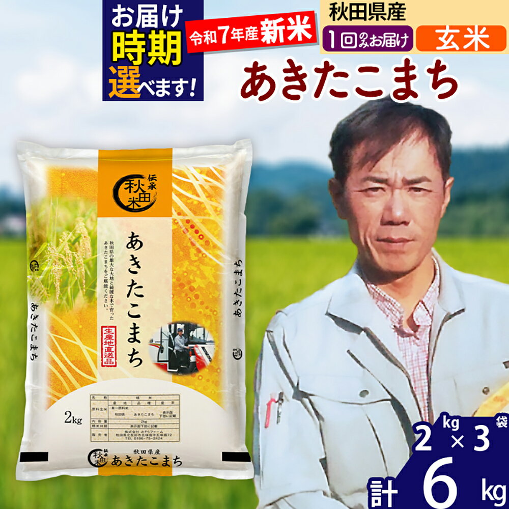 【ふるさと納税】※令和7年産 新米※秋田県産 あきたこまち 6kg【玄米】(2kg小分け袋)【1回のみお届け】2025年産 お届け時期選べる お米 みそらファーム