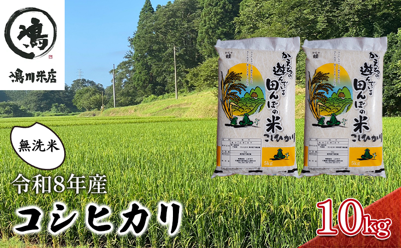 【先行予約・令和8年産】 コシヒカリ　無洗米　10kg お米 精