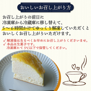 幸せの黄色いチーズケーキ オレンジソース チーズケーキ