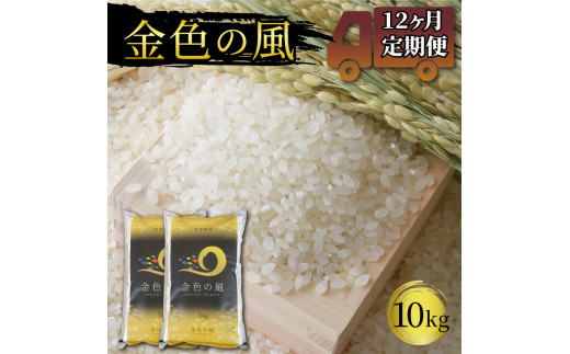 
米 定期便 10kg 12ヶ月 精米 一等米 金色の風 岩手県産 ご飯 白米
