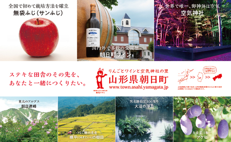  プラム おまかせ 2種以上 食べ比べ 2kg 大玉 2L～3L 秀品 化粧詰め 【2025年8月下旬～9月上旬発送】山形県 朝日町産 山形産 すもも スモモ フルーツ 果物 夏