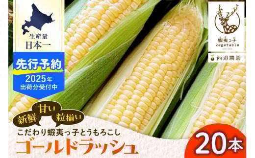 【2025年先行受付】朝採りをお届け！ 北海道十勝芽室町　蝦夷っ子とうもろこし ゴールドラッシュ 20本 me076-010c-25