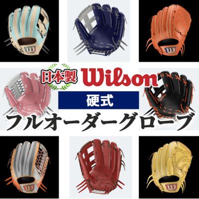 ふるさと納税 阿久根市 【硬式】Wilson 硬式フルオーダーグローブ(一式) 【アクネスポーツ】a-250-8