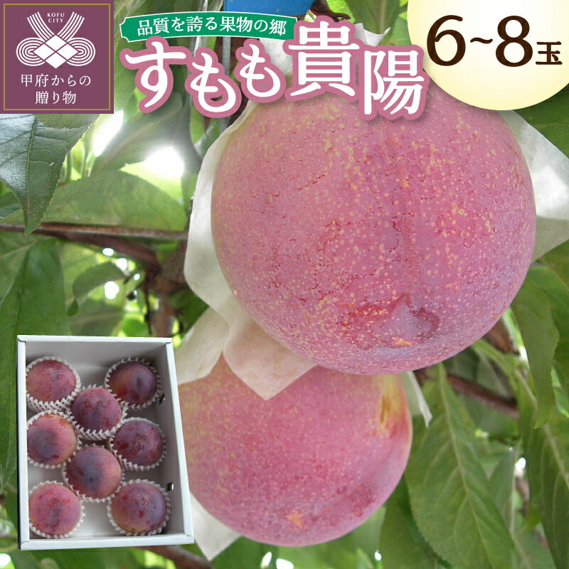 【ふるさと納税】 貴陽 スモモ 冷蔵配送 先行予約 2026年 6-8玉 1.5kg 山梨 県産 フルーツ 王国 産地直送 高級 甘い 2026年7月上旬〜下旬にかけて順次発送 k003-020