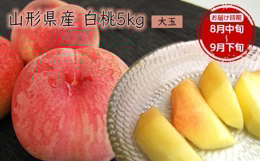《先行予約 2025年度発送》【山形県産】白桃5kg(大玉13～20玉)  もも モモ 桃 デザート フルーツ 果物 くだもの 果実 食品 山形県 FSY-0388