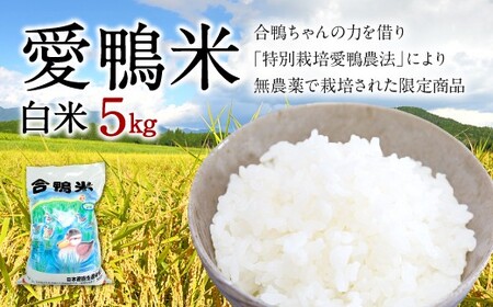 〈令和7年産〉愛鴨米 白米 5kg【2025年10月上旬～2026年10月上旬発送予定】