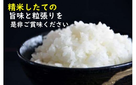 令和7年産　山形県産 特別栽培米 つや姫10kg (5㎏×2袋) 令和7年産 山形県産 特別栽培米 つや姫10kg (5㎏×2袋)