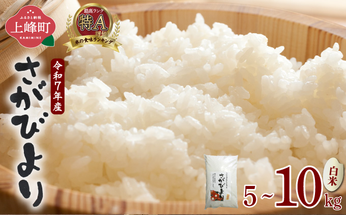 年内発送 12/25まで《選べる容量》特選米100%!令和7年産さがびより(精白米) 5kg ／ 10kg