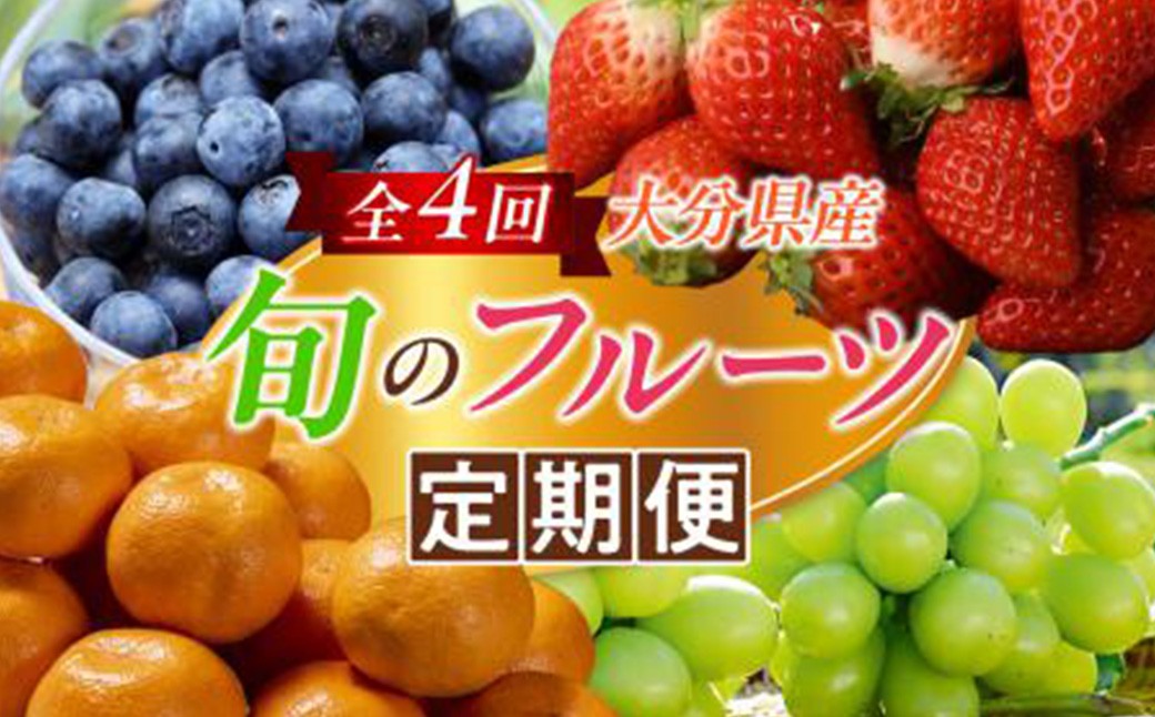 
                  ＜定期便＞ 大分県産 旬のフルーツ定期便 (全4回・総量9kg) ブルーベリー シャインマスカット 温州みかん いちご 果物 定期 大分県産 国産 柑橘 みかん ぶどう ＜北海道・沖縄・離島配送不可＞【全国農業協同組合連合会大分県本部】 ＜130-801＞
                