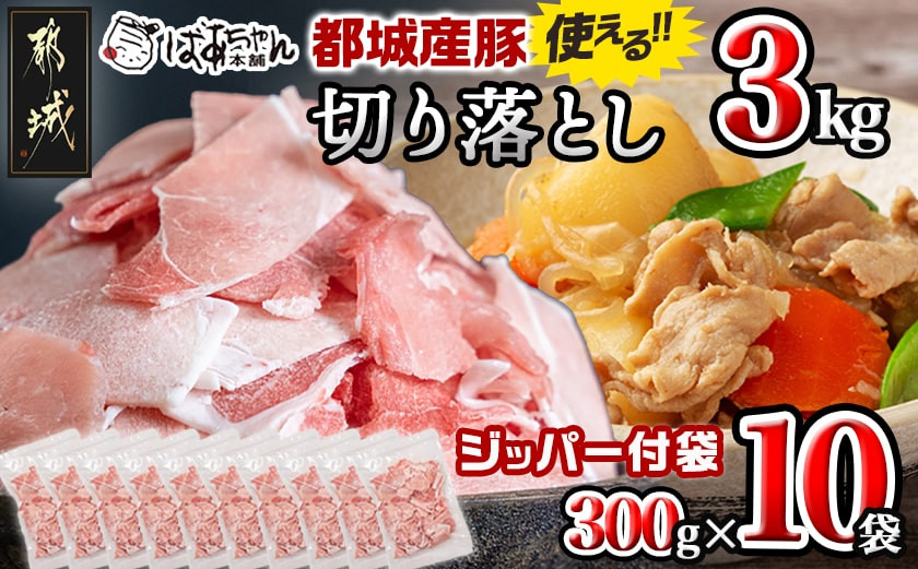 
            都城産豚切り落とし3kg(ジッパー付袋入り)300g×10パック_13-1510_都城市 都城産 豚肉 ウデ モモ 切り落とし チャック付き 大容量 小分け 冷凍 かさばらない 使い勝手抜群 豚肉 小分け 使いやすい 焼きそば カレー 生姜焼き 肉野菜炒め アレンジ
          