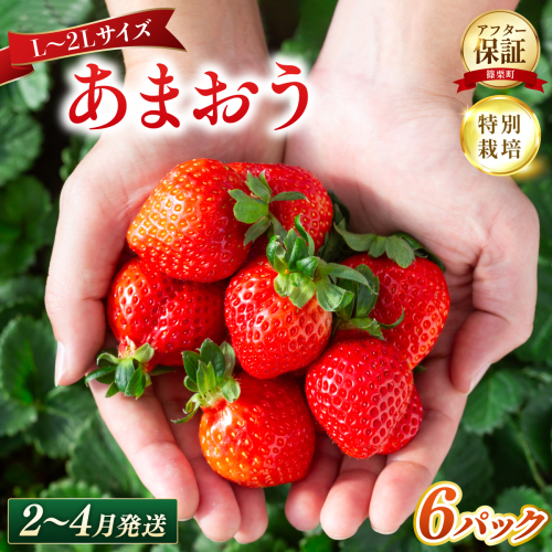 いちご 福岡県産 特別栽培 あまおう L～2Lサイズ（少し小ぶりサイズ）約1710g（約285g×6パック）【2～4月発送】| 農園直送 アフター保証 先行予約 福岡産 送料無料 ケーキ ギフト お祝い 限定 季節限定 UN020