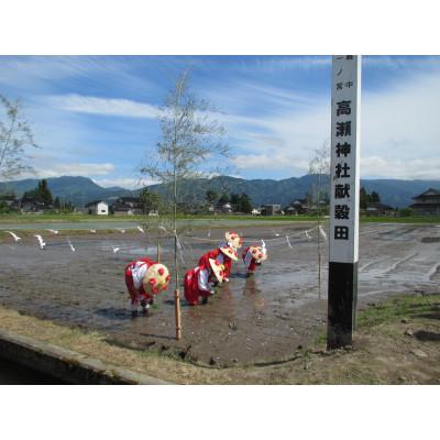 ふるさと納税 南砺市 【令和7年産】富山県産こしひかり　育(はぐくみ)白米3kg×2個セット《南砺の逸品》 |  | 03