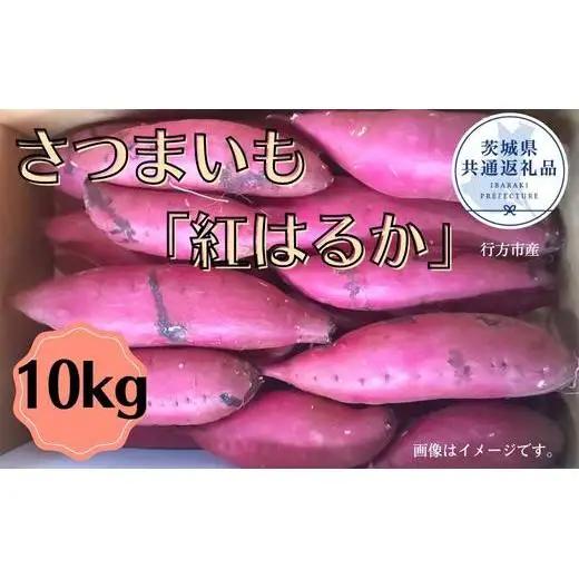 さつまいも「紅はるか」約10kg（2025年産）（茨城県共通返礼品・行方市産） ／ さつまいも さつま芋 サツマイモ 薩摩芋 甘薯 紅はるか 10kg 野菜 茨城県 送料無料