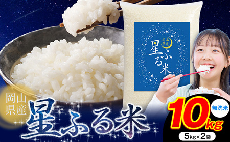 無洗米 星ふる米 10kg 無洗 米 m  