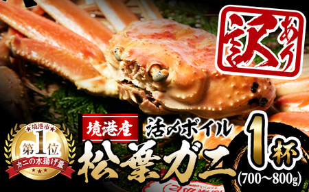＜先行予約受付中！11月中旬～順次発送予定＞＜訳あり・土日祝着※指定日不＞活〆ボイル松葉蟹(700～800g) 魚介 海鮮 海の幸 カニ かに 蟹 松葉ガニ 活〆 ボイル 焼きガニ 鍋 弾力 甘み 冷蔵 【sm-AL014-B】【マルツ】