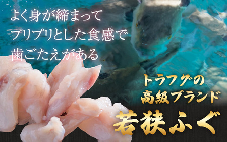 若狭とらふぐ鍋セットB（3～5人前）