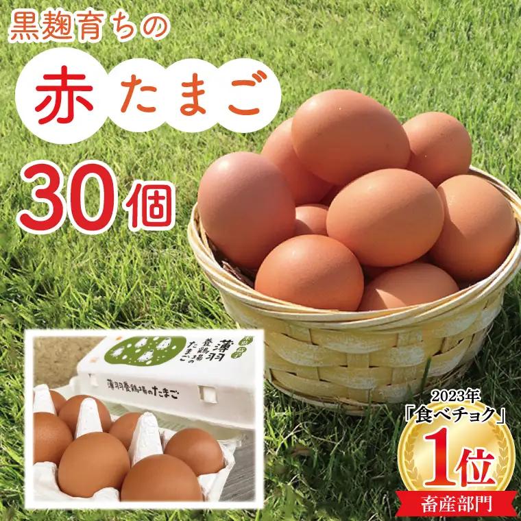 たまご 30個 黒麹育ちの赤たまご BC007