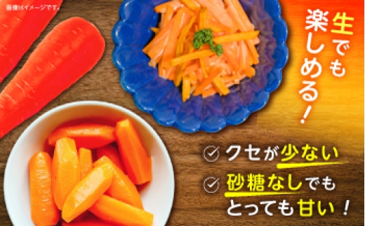 食品 やさい 野菜 サラダ 旬 甘い にんじん ニンジン 人参 キャロット きゃろっと にんじんジュース 人参ジュース