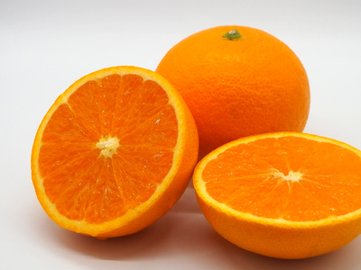 【先行予約】Saito Orange Farmの訳あり清見タンゴール10kg（2026年3月中旬頃より順次発送） IKTAQ010