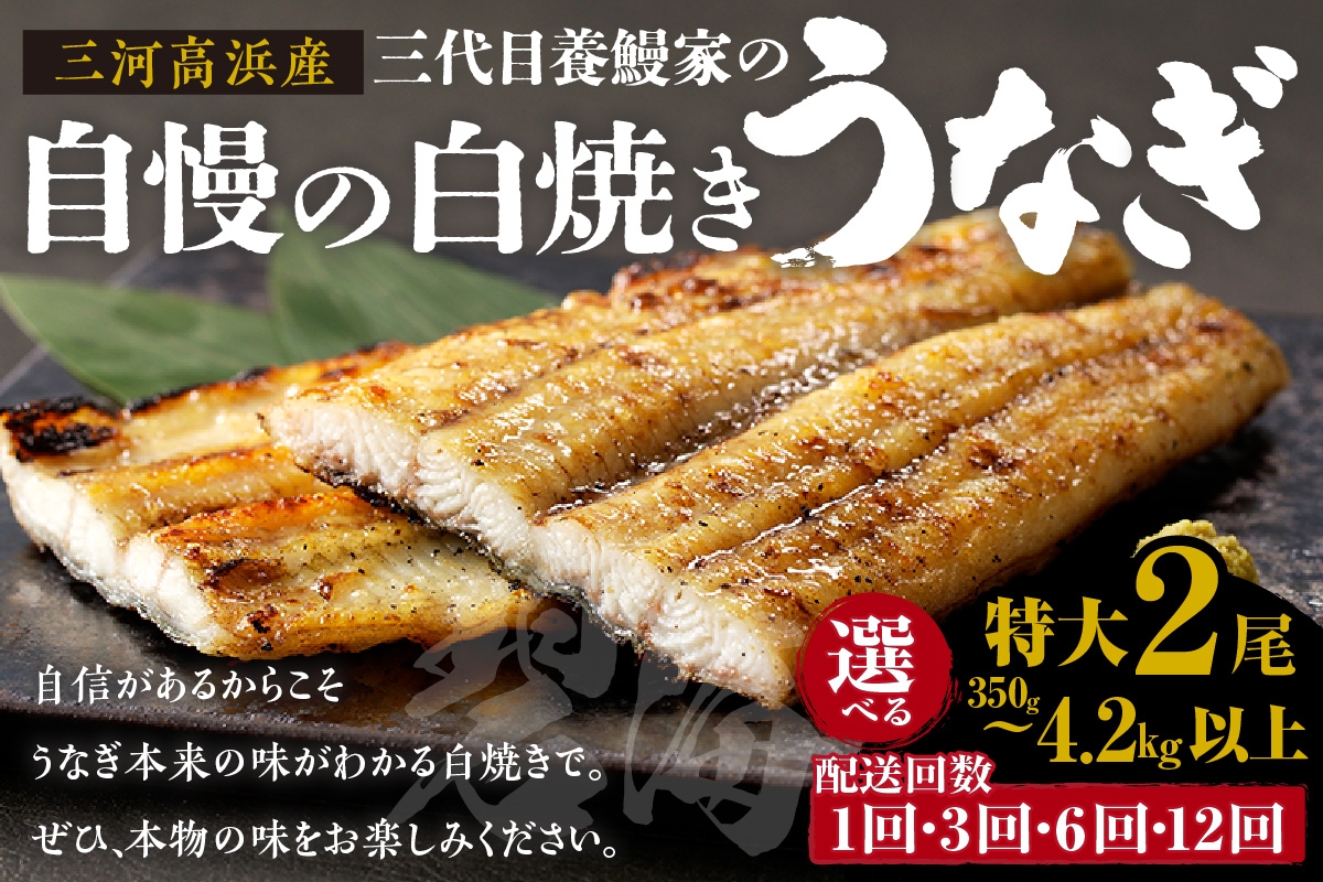 
                  三河高浜産三代目養鰻家の白焼きうなぎ　特大2尾【選べるお届け回数】
                
