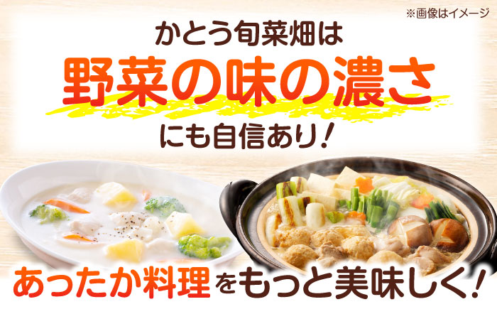 寒い冬の温かな料理に！かとう旬菜畑から直送 冬野菜おまかせ便10種 冬野菜 旬 新鮮 鍋 おうちごはん 愛媛県大洲市/かとう旬菜畑 [AGCW001]