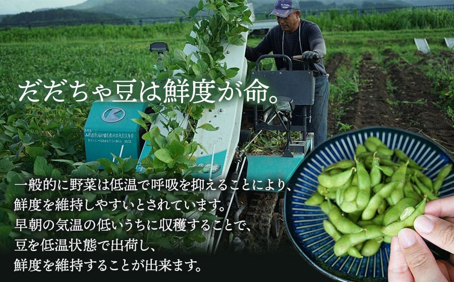 【令和7年産先行予約】 白山だだちゃ豆　2kg　鶴岡市白山産　長五郎