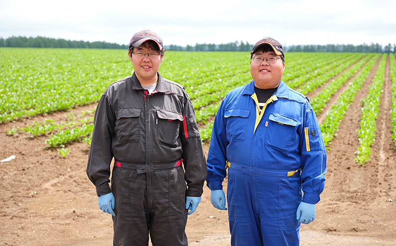 北海道産 さつまいも 計5kg 上士幌町須田農場 ◆2025年11月下旬発送開始予定