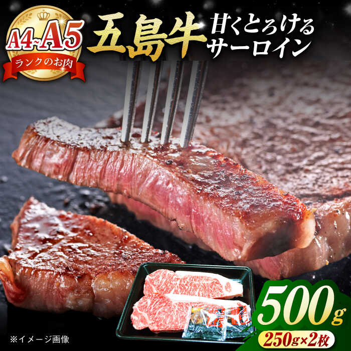 【ふるさと納税】A4 A5ランク 五島牛 サーロインステーキ 250g×2枚 五島市/肉のマルヒサ [PCV002] 国産牛 牛肉 ブランド牛
