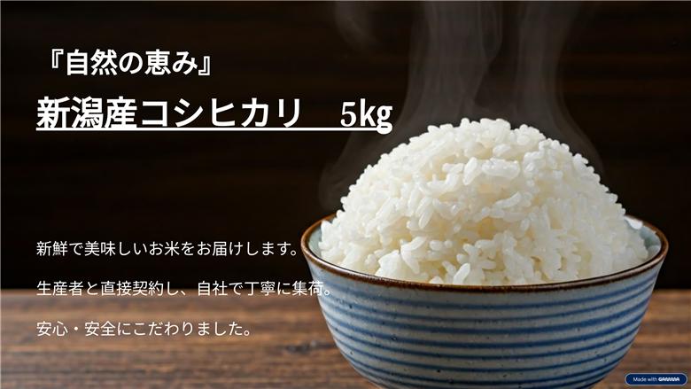 新潟産コシヒカリ 5kg お米