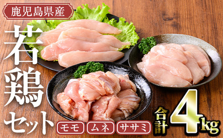 鹿児島県産若鶏セット(計4kg・モモ、ムネ、ササミ) 小分け 鶏肉 セット【TRINITY】A465-02-v01